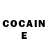 Cocaine Fish Scale Ashkan Shahmohammadian