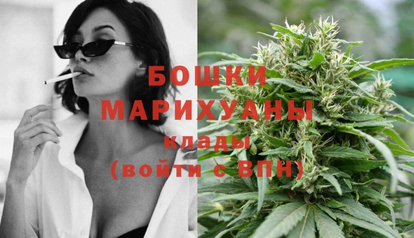скорость Ладушкин