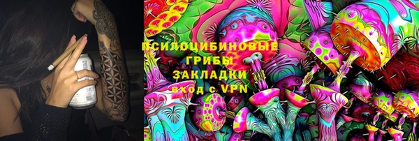 скорость Ладушкин