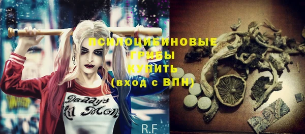 скорость Ладушкин
