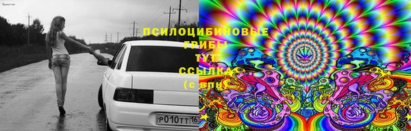 скорость Ладушкин