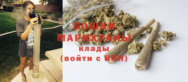 скорость Ладушкин
