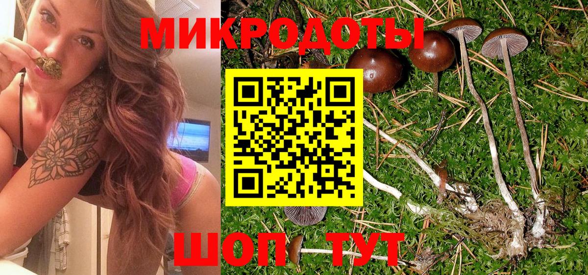 Псилоцибиновые грибы Cubensis  Галлюциногенные грибы мицелий  купить наркоту  Березники 