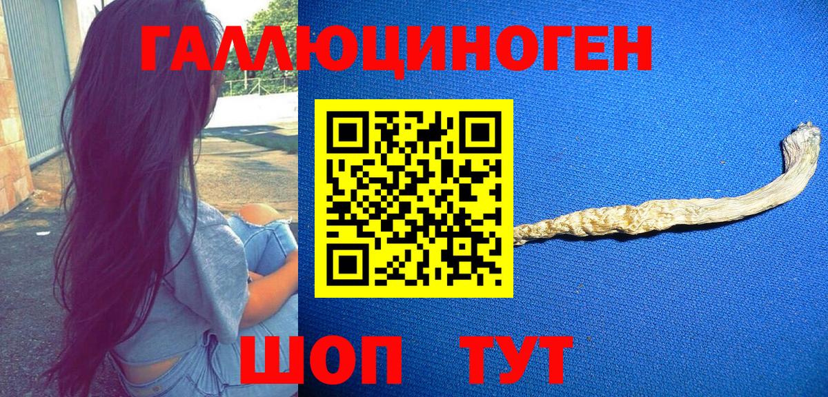Галлюциногенные грибы MAGIC MUSHROOMS Березники